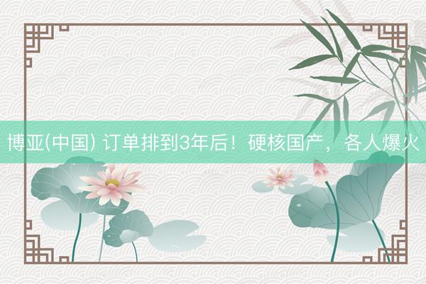 博亚(中国) 订单排到3年后！硬核国产，各人爆火