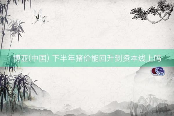 博亚(中国) 下半年猪价能回升到资本线上吗