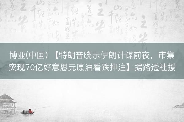 博亚(中国) 【特朗普晓示伊朗计谋前夜，市集突现70亿好意思元原油看跌押注】据路透社援
