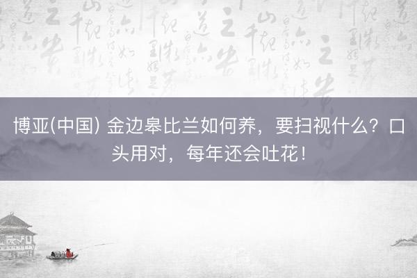 博亚(中国) 金边皋比兰如何养，要扫视什么？口头用对，每年还会吐花！