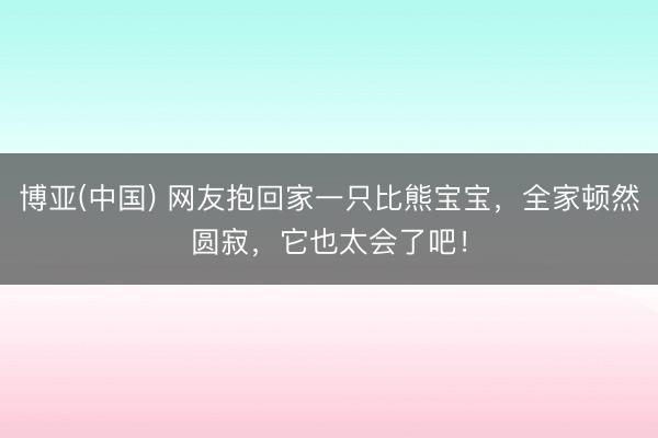 博亚(中国) 网友抱回家一只比熊宝宝，全家顿然圆寂，它也太会了吧！