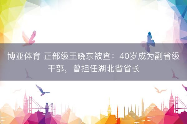 博亚体育 正部级王晓东被查：40岁成为副省级干部，曾担任湖北省省长