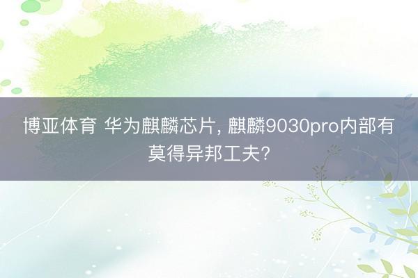博亚体育 华为麒麟芯片， 麒麟9030pro内部有莫得异邦工夫?