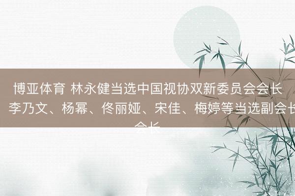 博亚体育 林永健当选中国视协双新委员会会长,李乃文、杨幂、佟丽娅、宋佳、梅婷等当选副会长
