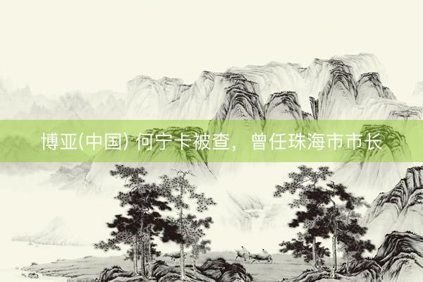 博亚(中国) 何宁卡被查，曾任珠海市市长