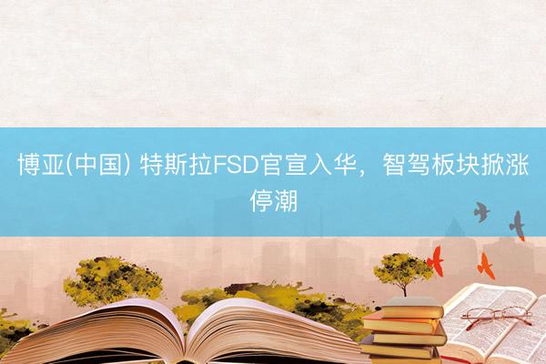 博亚(中国) 特斯拉FSD官宣入华，智驾板块掀涨停潮