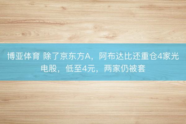 博亚体育 除了京东方A，阿布达比还重仓4家光电股，低至4元，两家仍被套