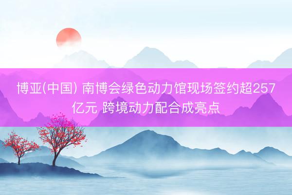博亚(中国) 南博会绿色动力馆现场签约超257亿元 跨境动力配合成亮点