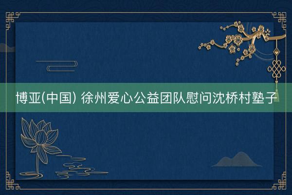 博亚(中国) 徐州爱心公益团队慰问沈桥村塾子