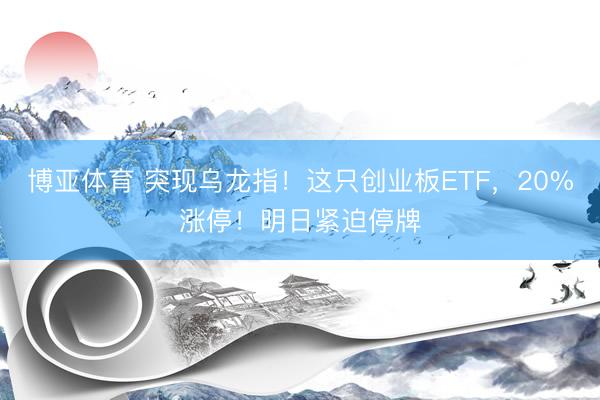 博亚体育 突现乌龙指！这只创业板ETF，20%涨停！明日紧迫停牌