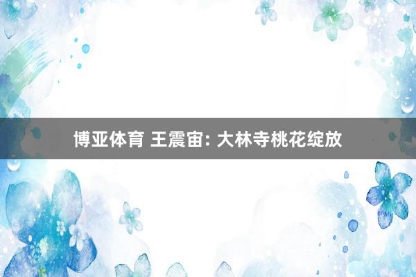 博亚体育 王震宙: 大林寺桃花绽放