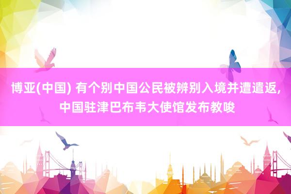博亚(中国) 有个别中国公民被辨别入境并遭遣返, 中国驻津巴布韦大使馆发布教唆